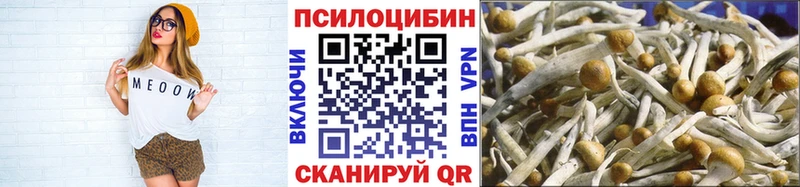 Галлюциногенные грибы мицелий  Лобня 