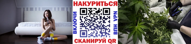 Каннабис OG Kush  ОМГ ОМГ   Лобня 